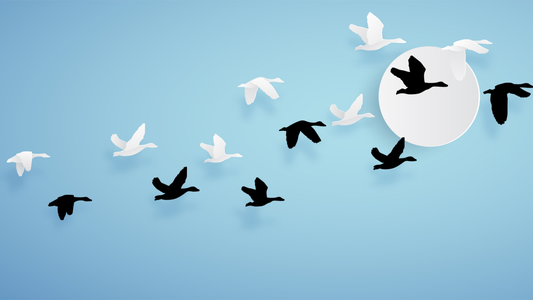Flaw Exposes WP Migration Plugin to Hacks