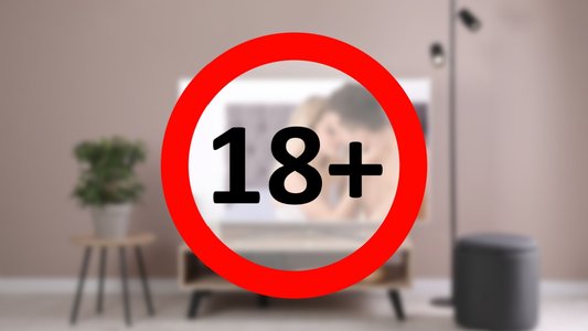 Porn Age Checks Threaten Security and Privacy, Report Warns