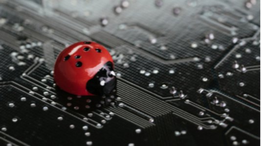 19-Year-Old Awarded More than $1M in Bug Bounties