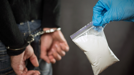 Cocaine Smugglers that Posed as PC Sellers Jailed