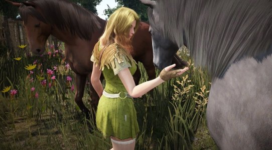 Black Desert Online will add absolute skills for all classes next week