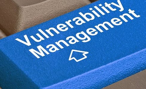 Vulnerability Values Fluctuate Between White, Grey and Black Hats