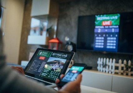 Sporting Fans Heavily Targeted by Bad Bots This Summer