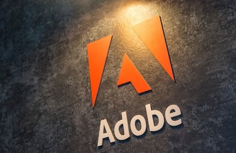 Senator Urges Government to Kill Off Flash Now