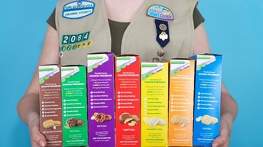Girl Scouts Alerted to Possible Data Breach