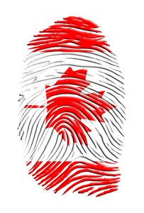 Canadians Unsure What to Do Post-Identity Theft