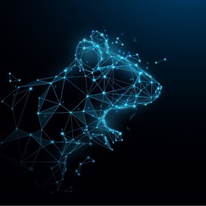ElectroRAT Drains Crypto Wallets
