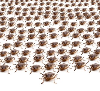 Facebook to offer bug bounties for security researchers