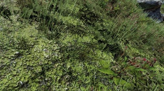 Skyrim Landscape Overhaul HD replaces all landscape textures with new highly detailed 2K textures