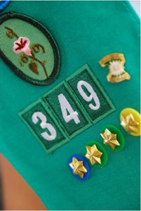 HPE Targets Girl Scouts for Next-Gen White Hats