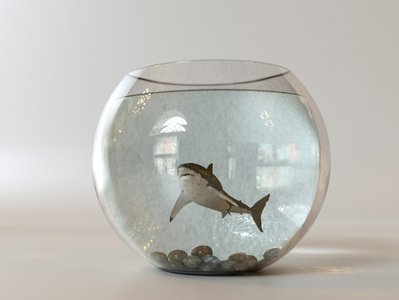 Shark Tank Star Corcoran Loses $400K in Email Scam