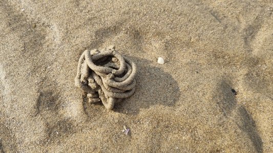 Russian Hacking Group Sandworm Linked to Unprecedented Attack on Danish Critical Infrastructure