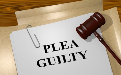 NSA Leaker Winner Pleads Guilty