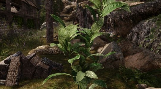 Skyrim 3D Landscapes mod features more than 90 high quality 3D models for trees, flowers and plants
