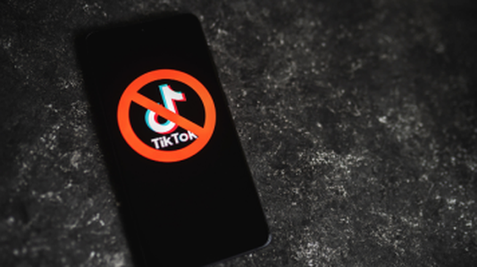 Montana Becomes First US State to Pass TikTok Ban