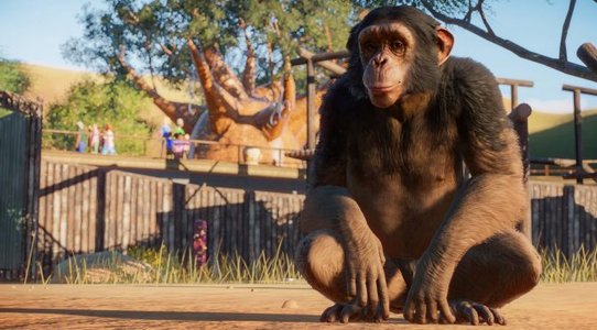 Planet Zoo beta begins on September 24th, gets new gameplay trailer
