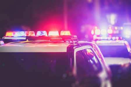 ICE Operation Arrests 113 Child Predators