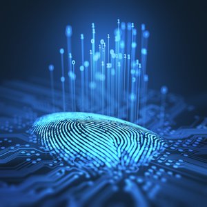 Artificial Fingerprint Ring Could Combat Biometric Data Theft