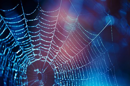 The Dark Web Uncovered: From Stolen Netflix Accounts to CNI Hacks
