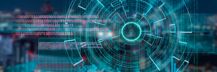 asset protection software