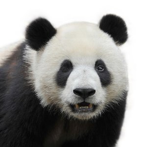 Hurricane Panda Hackers Exploit Zero-Day for 5 Months