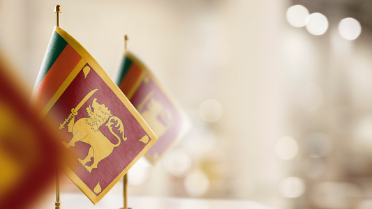 Ransomware Attack Wipes Out Sri Lankan Government Data