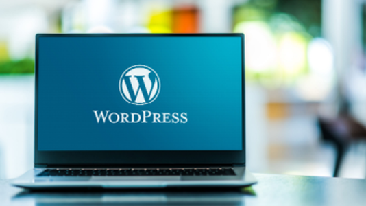 Vulnerability in WordPress BackupBuddy Plugin Exploited By Hackers