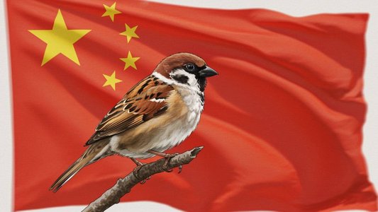 Chinese Spy Group FamousSparrow Back with a Vengeance, Targets US