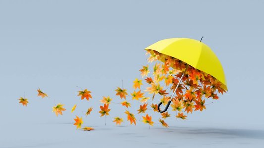 Microsoft Fixes Four More Zero-Days in November Patch Tuesday