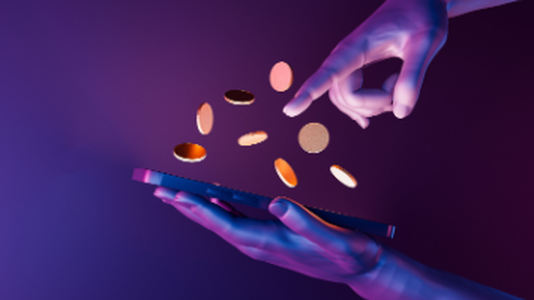 Scam Alert for Dingo Token That Charges 99% Fee