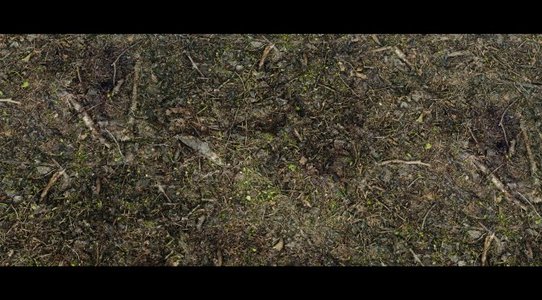 This 4.5GB 8K HD Texture Pack for Skyrim Special Edition brings landscapes textures created with 3D Scans