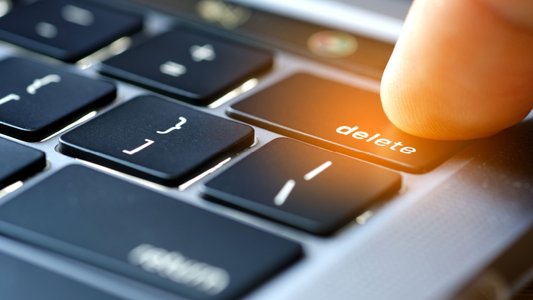 Chinese PlugX Malware Deleted in Global Law Enforcement Operation