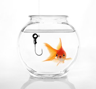 Sixty percent will fall to a phishing attack that might herald an APT