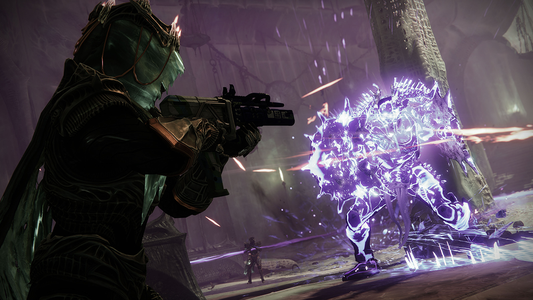 Destiny 2 player ordered to pay $500K for harassing Bungie developer
