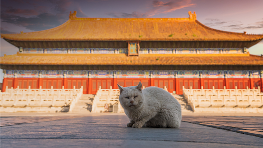 Chinese APT ToddyCat Targets Asian Telecoms, Governments