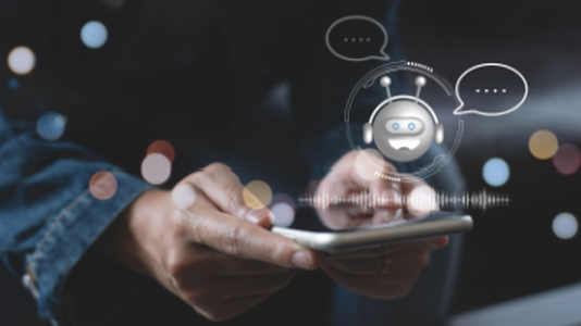 Regulator Halts AI Chatbot Over GDPR Concerns
