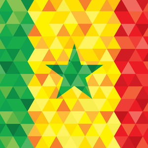 National School for Cybersecurity Opens in Senegal