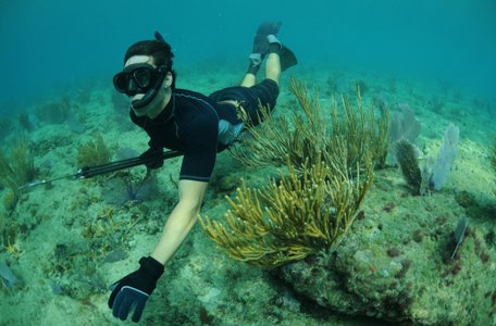 Water Hole Replacing Spear-Phishing as State-Sponsored Weapon of Choice