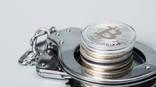 Euro Police Bust Multimillion-Dollar Crypto Fraud Gang