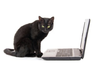 Cyrpto-Me0wing, Not a Cute Kitty of the Internet