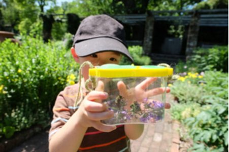 Bug Hunting Is Cybersecurity's Skill of the Future