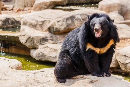 Fancy Bear Spying Targets 1000s, Including NATO, Political Leaders