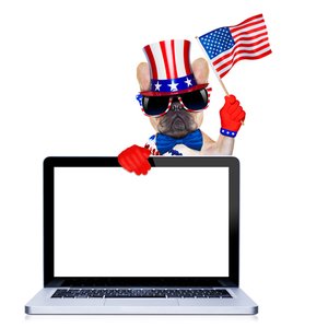 Over 550 Fake US Election Web Domains Discovered