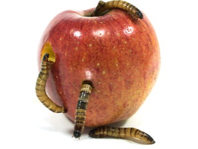 Beguiling Apple with Malicious Code