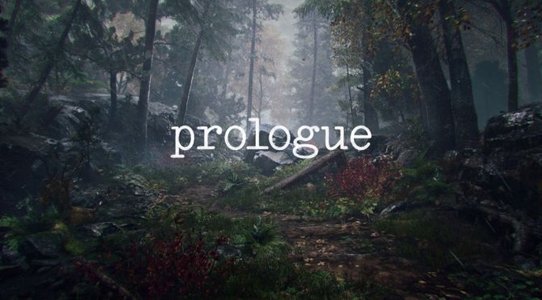 Prologue will not be PUBG 2 according to Brendan “Player Unknown” Greene