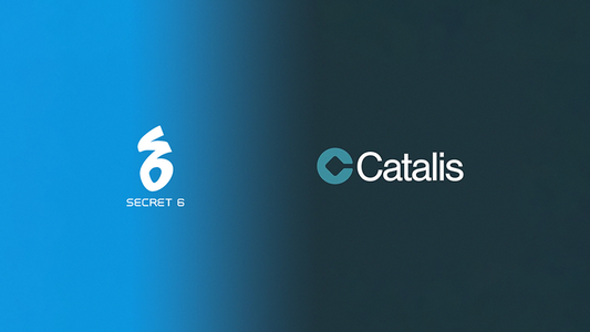 Curve Games parent Catalis Group acquires co-development studio Secret 6