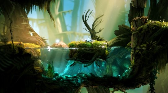 Ori and the Blind Forest will get a co-op mod