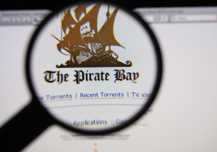 Pirate Bay Co-founder Arrested in Sweden
