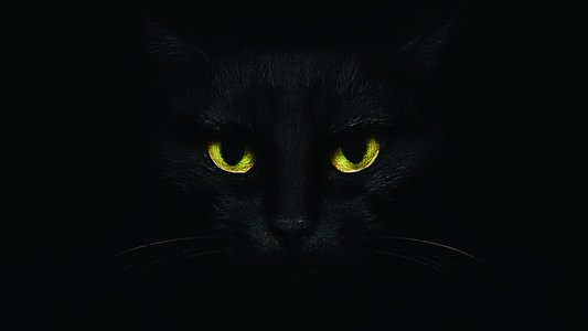 ALPHV/BlackCat Ransomware Servers Go Down