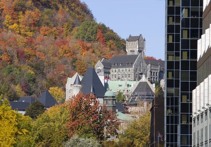 McGill shuts down website that published confidential donor data